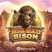 Bisonte Malvado thumbnail